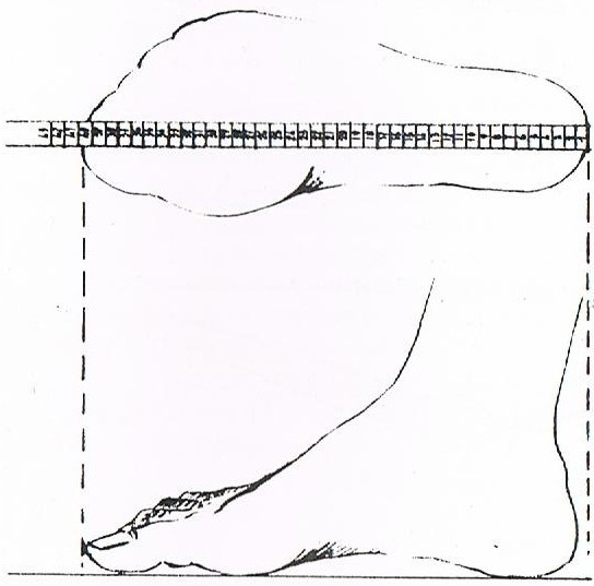 misura piede 2